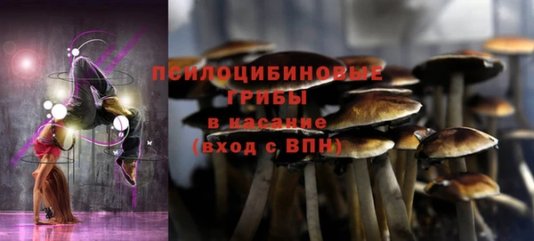 твердый Лиски