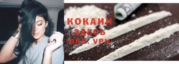 ГАЛЛЮЦИНОГЕННЫЕ ГРИБЫ Лихославль