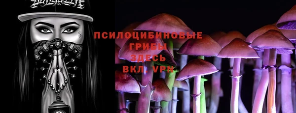 спиды Липки