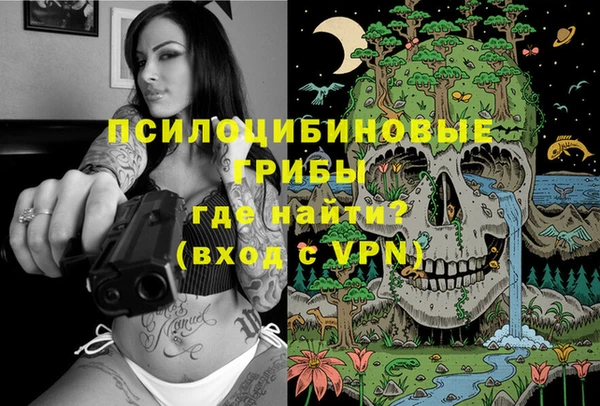 твердый Лиски