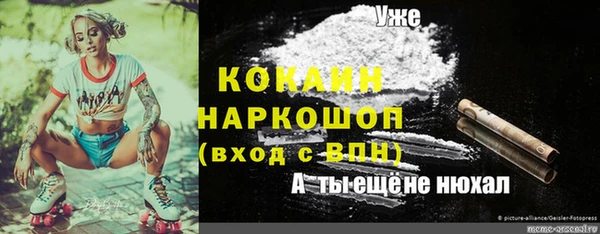 спиды Липки