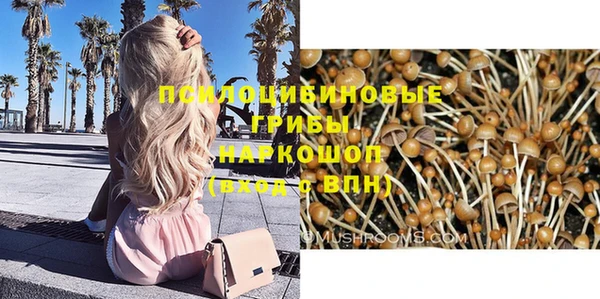 ГАЛЛЮЦИНОГЕННЫЕ ГРИБЫ Лихославль