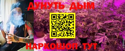 сатива Балахна