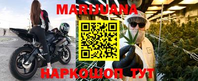 сатива Балахна