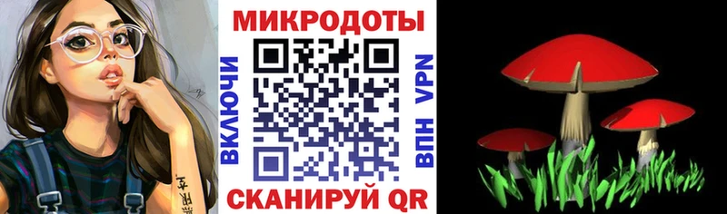 Галлюциногенные грибы Psilocybine cubensis  что такое наркотик  Сосновый Бор 