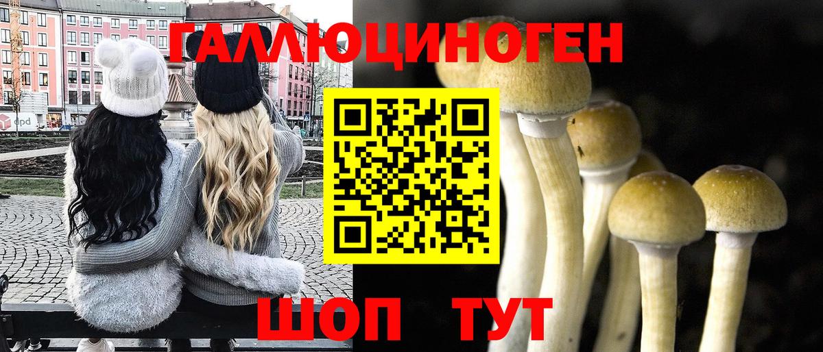 Галлюциногенные грибы Psilocybe  Галлюциногенные грибы Psilocybe  Сосновый Бор  Вход с VPN 