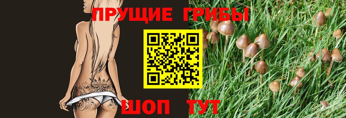 Псилоцибиновые грибы Magic Shrooms Сосновый Бор