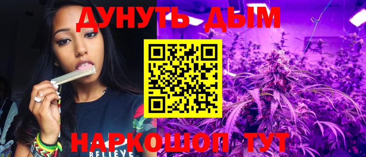 Канабис семена Сосновый Бор